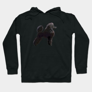 Poodle Art - Black Show Stand Hoodie